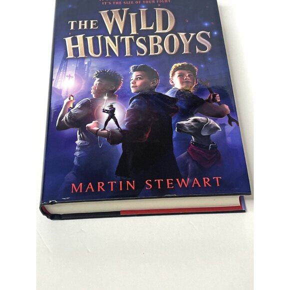 The Wild Huntsboys Martin Stewart Hardcover Fantasy Adventure Book - Picture 2 of 5